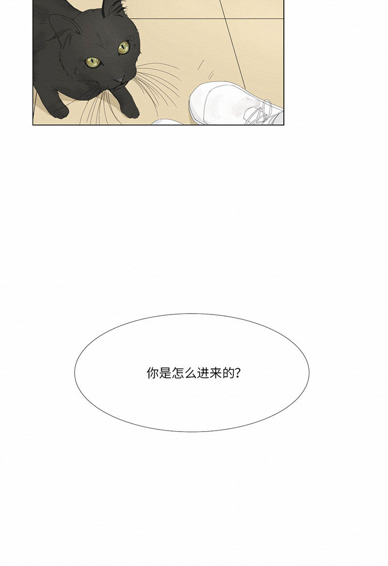 漫画第44页