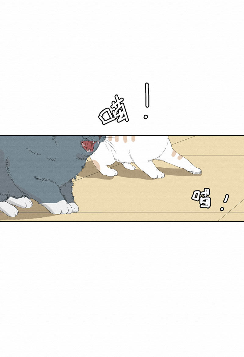 漫画第58页