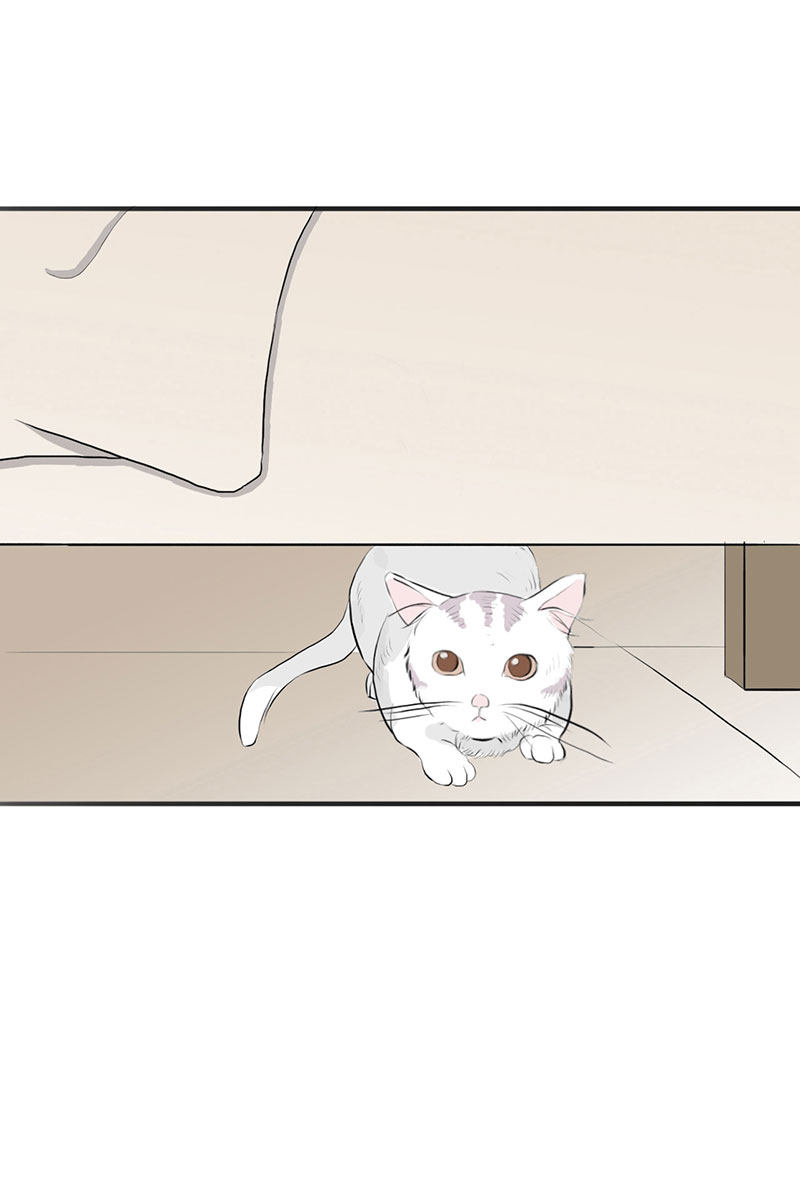 漫画第106页