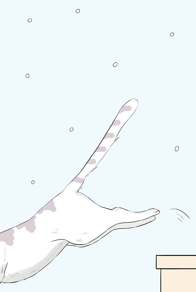 漫画第109页