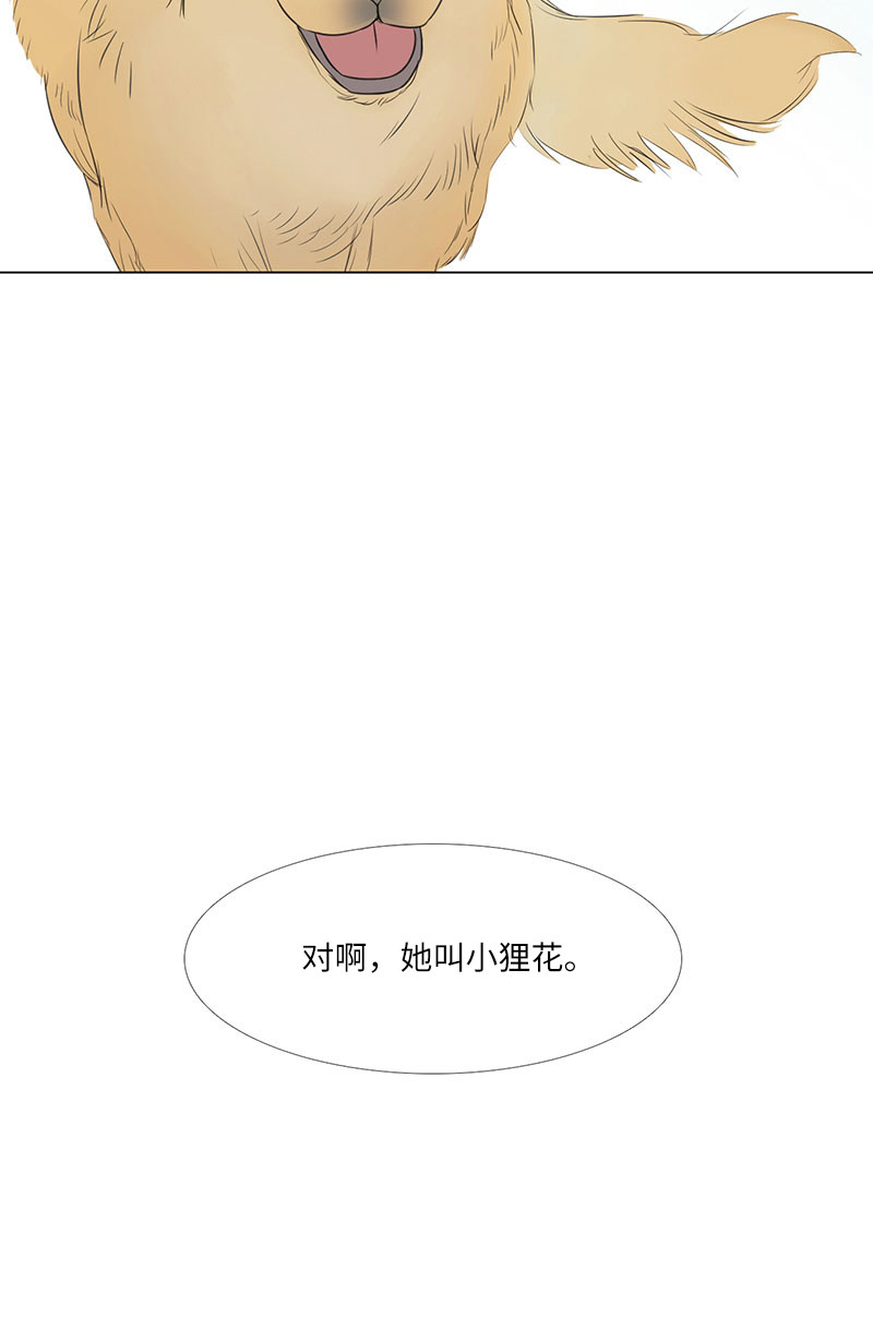 漫画第167页