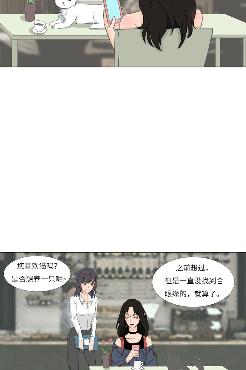 漫画第4页
