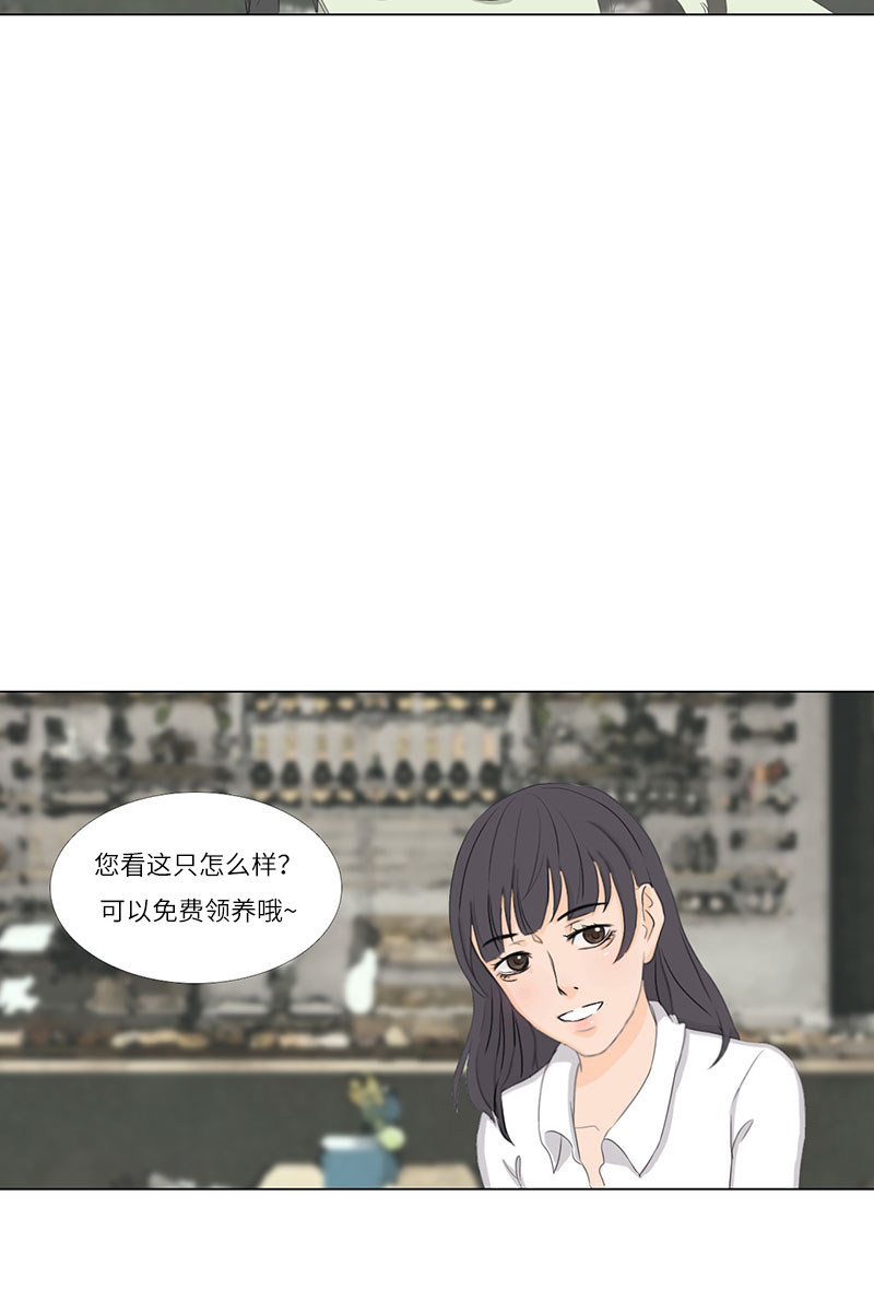 漫画第5页
