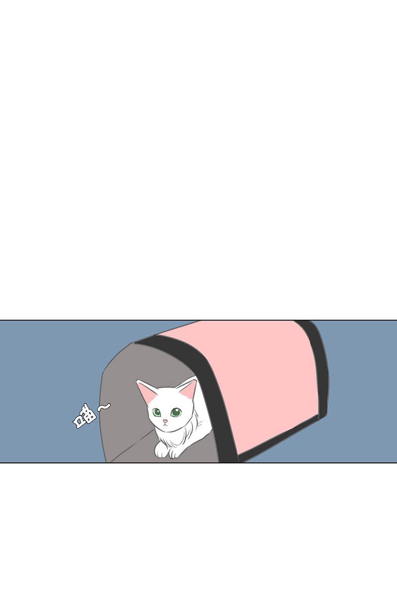 漫画第21页