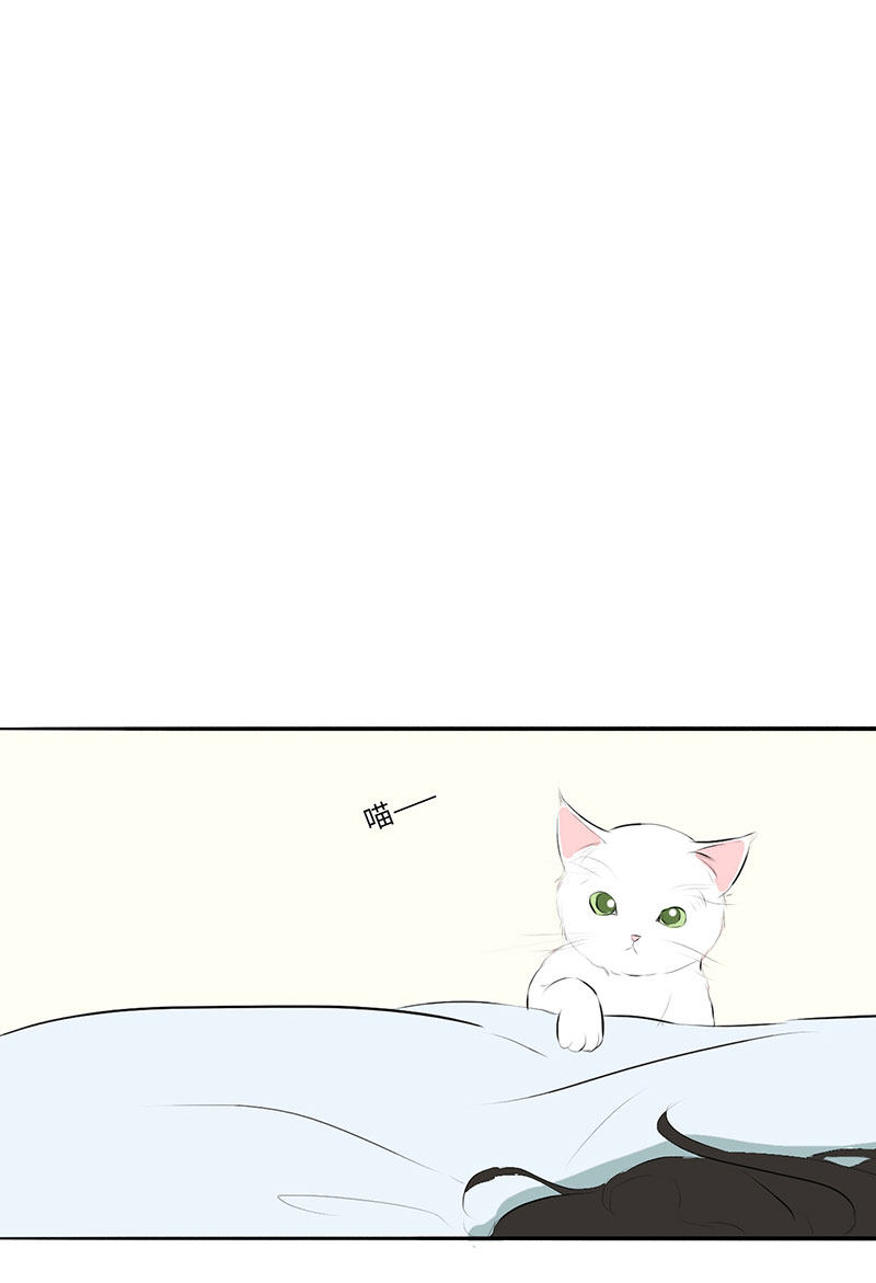 漫画第41页