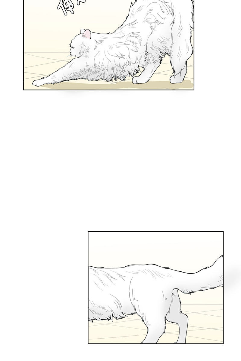 漫画第42页