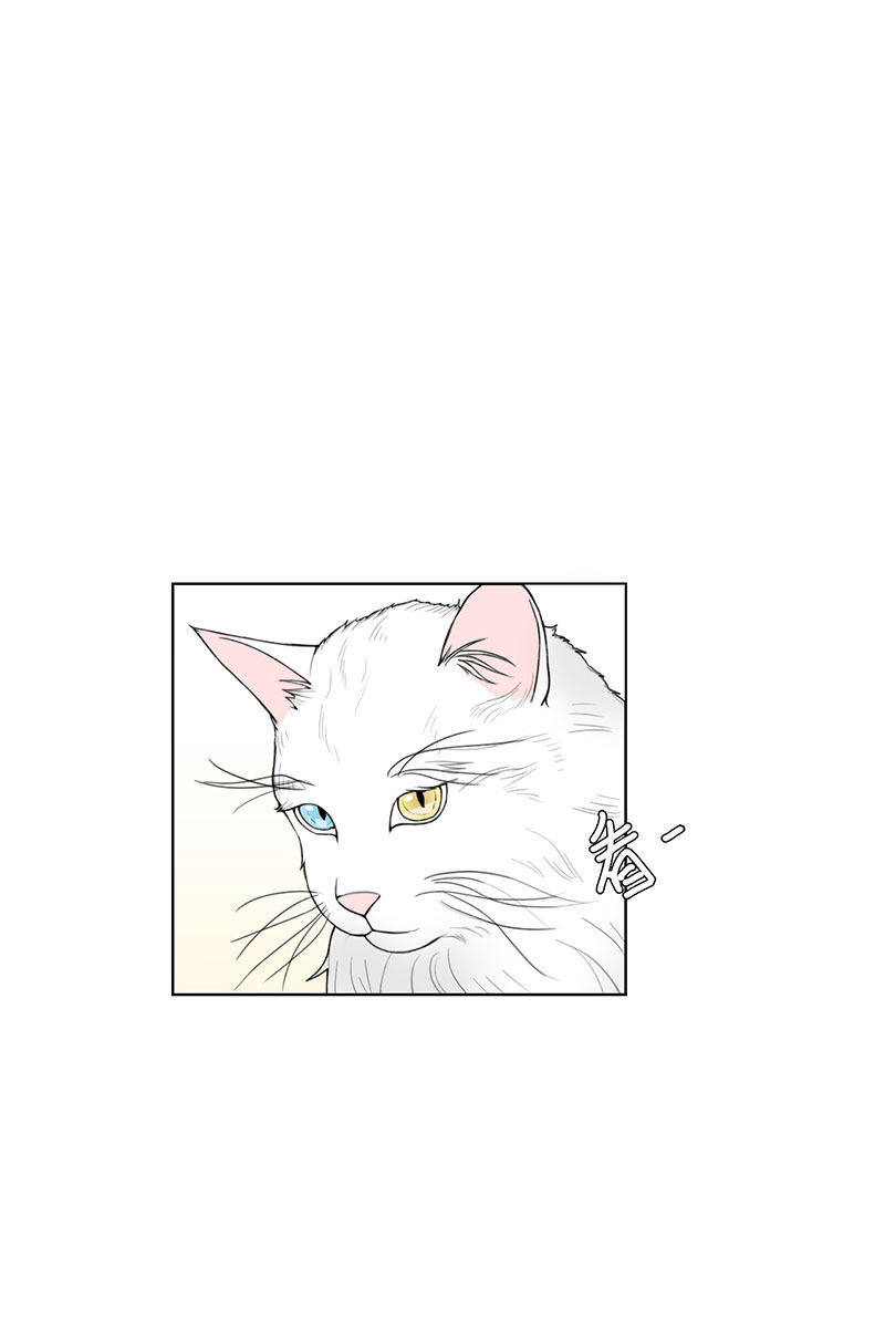 漫画第43页