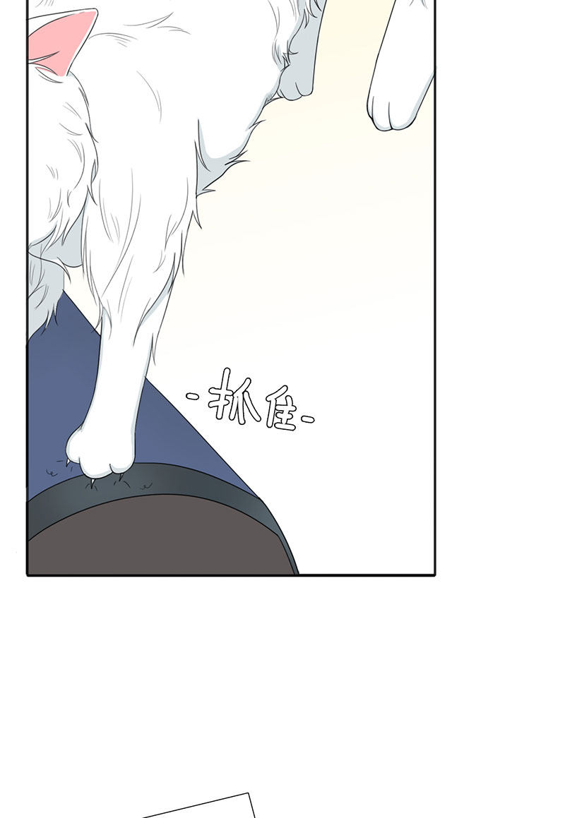漫画第75页
