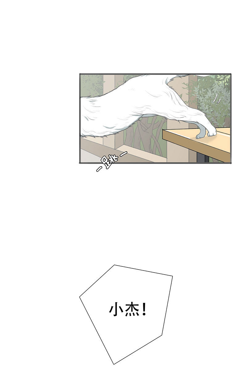漫画第97页