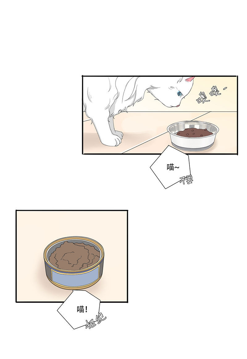 漫画第112页