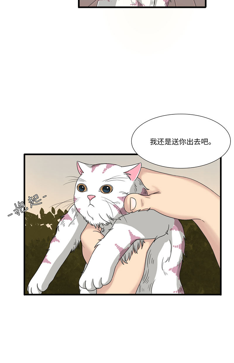 漫画第116页