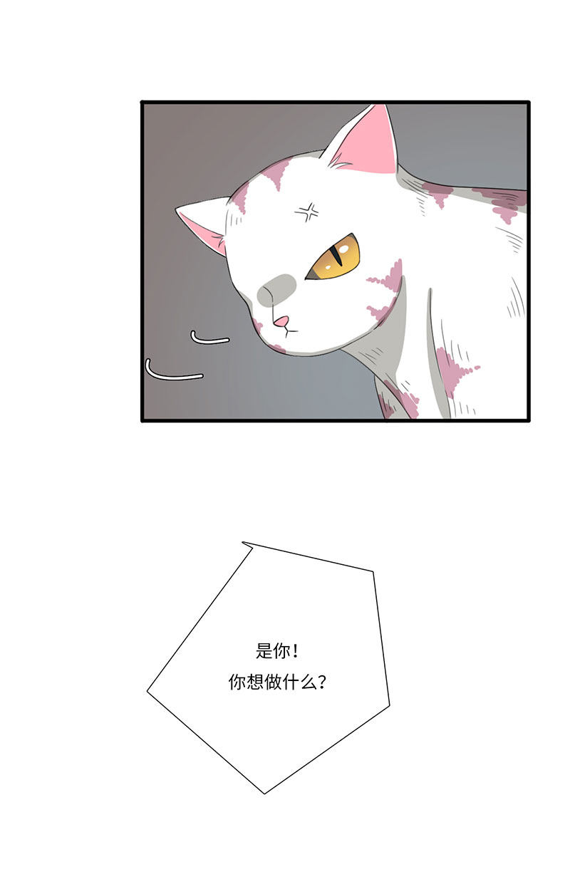 漫画第121页