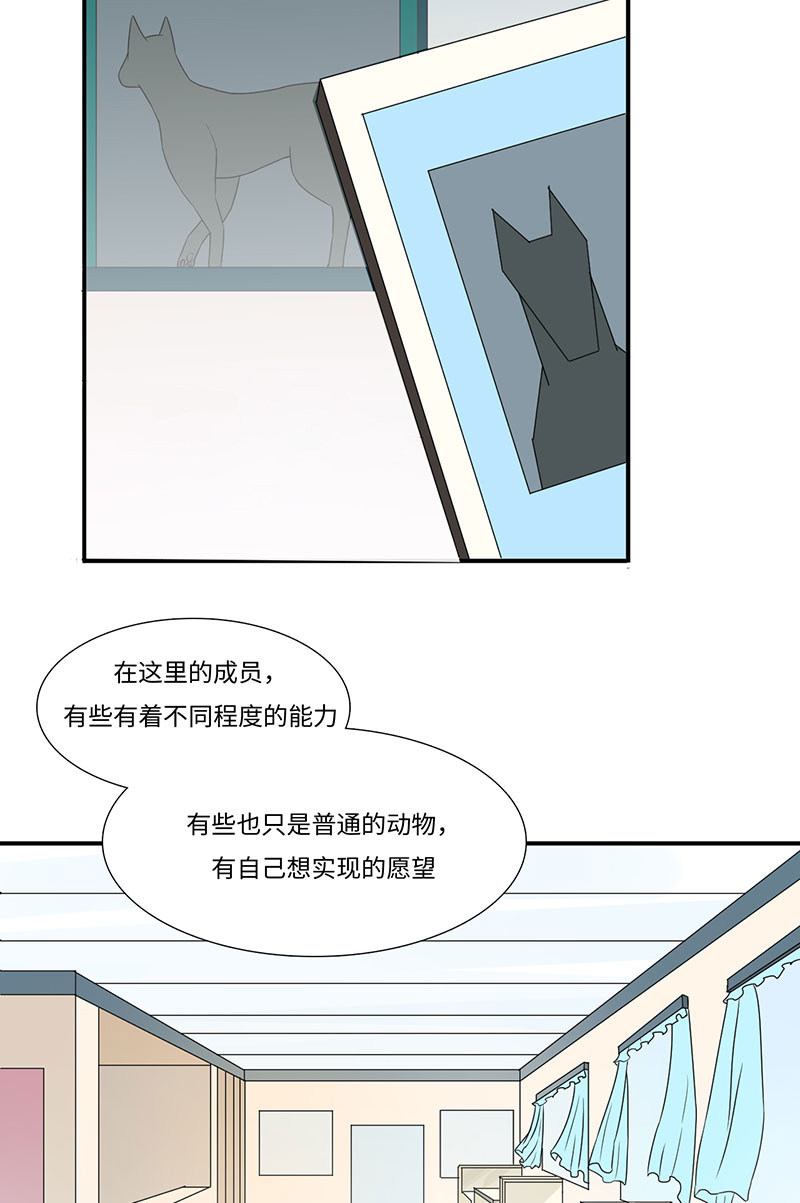 漫画第17页