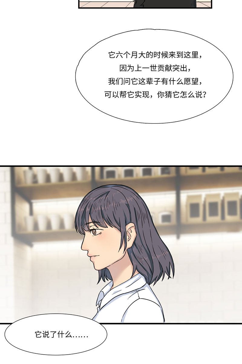 漫画第20页