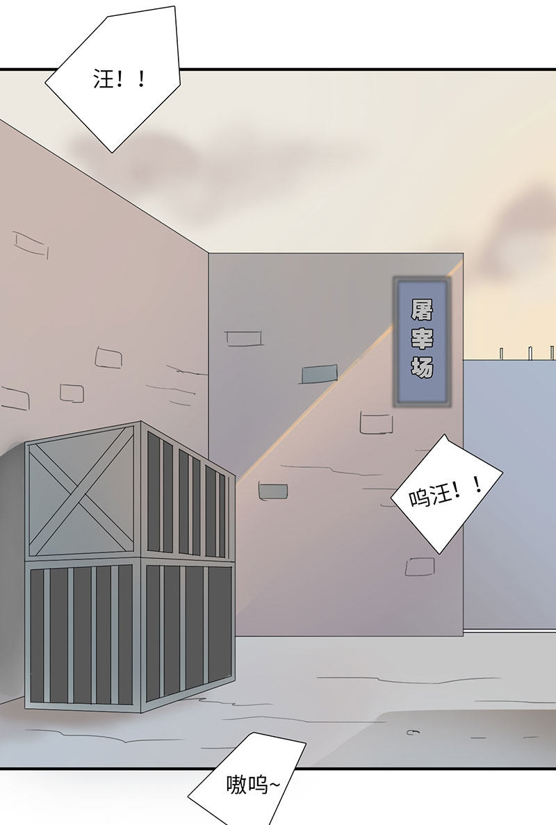 漫画第64页