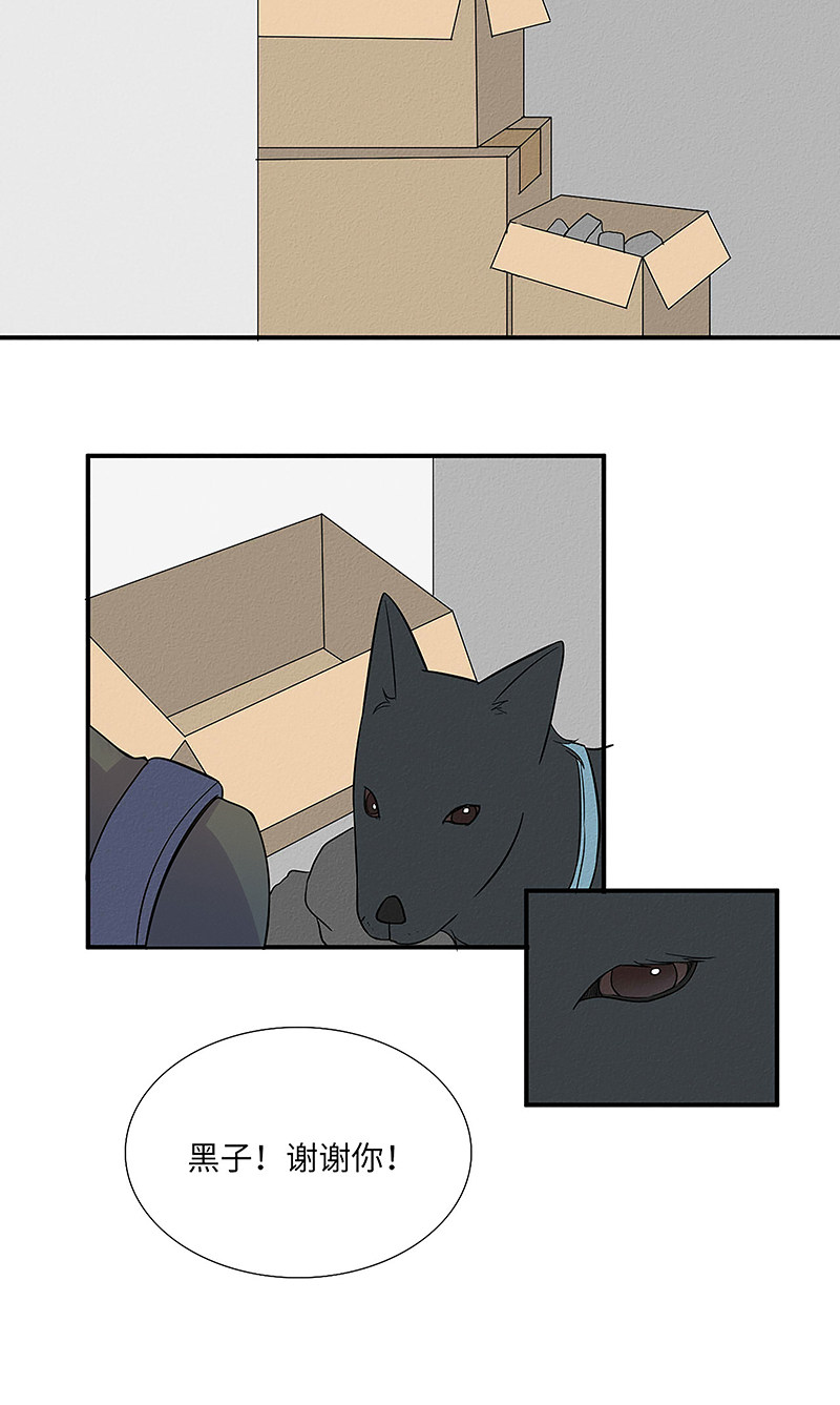 漫画第45页