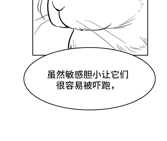 漫画第17页